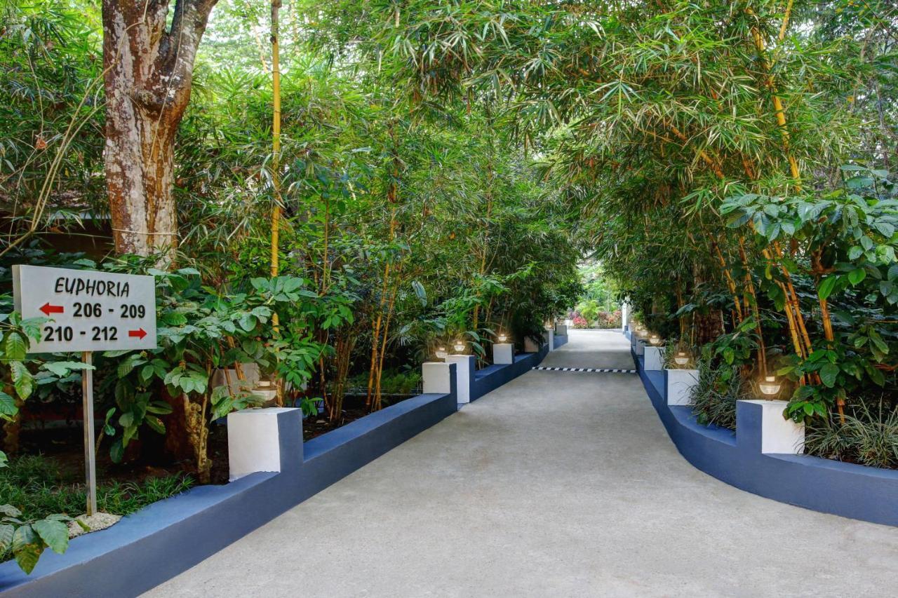 Gokulam Grand Resort & Spa, Coorg Kushālnagar Exterior foto